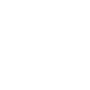 HYBRID client fritz 01 300x300 1