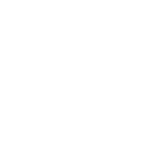 HYBRID client schmachtl 01