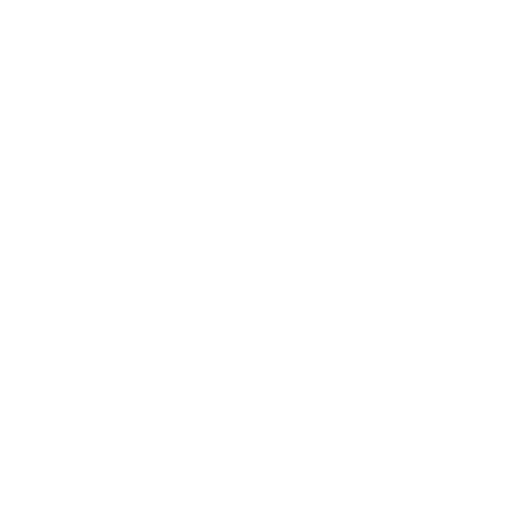 HYBRID client schmachtl 01