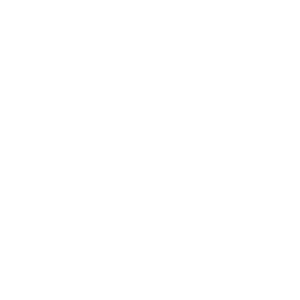 HYBRID client fivsen 01