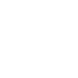 HYBRID client ZK 01