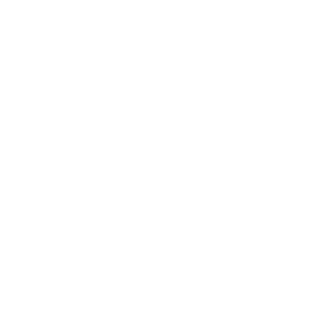 HYBRID client ZK 01